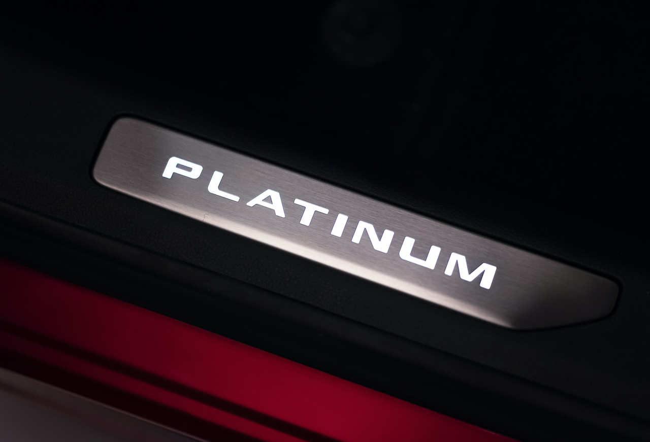 Logo Platinum_(1) Logo Platinum_(1)
